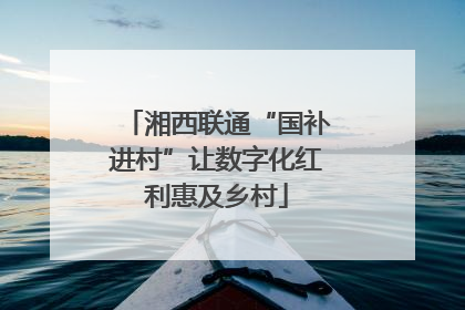 湘西联通“国补进村”让数字化红利惠及乡村