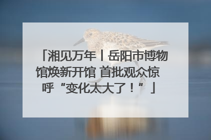 湘见万年丨岳阳市博物馆焕新开馆 首批观众惊呼“变化太大了！”