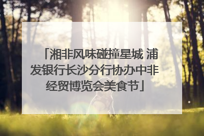 湘非风味碰撞星城 浦发银行长沙分行协办中非经贸博览会美食节