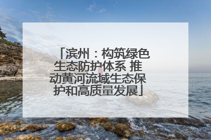 滨州：构筑绿色生态防护体系 推动黄河流域生态保护和高质量发展