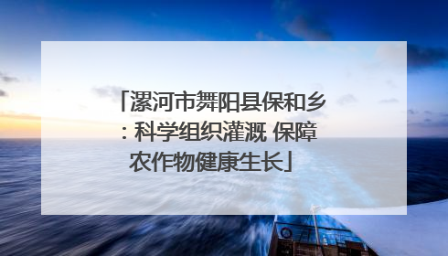 漯河市舞阳县保和乡：科学组织灌溉 保障农作物健康生长