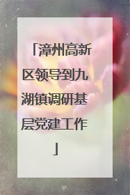 漳州高新区领导到九湖镇调研基层党建工作