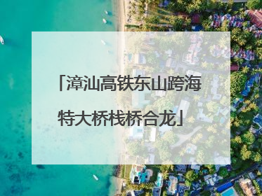 漳汕高铁东山跨海特大桥栈桥合龙
