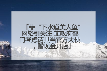 菲“下水道美人鱼”网络引关注 菲政府部门考虑请其当官方大使，赠现金开店