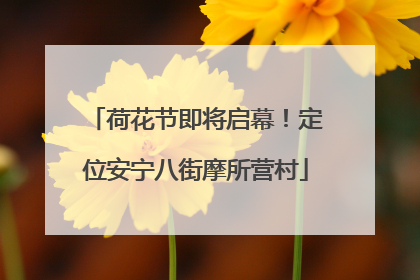荷花节即将启幕！定位安宁八街摩所营村
