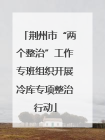 荆州市“两个整治”工作专班组织开展冷库专项整治行动