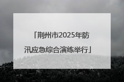 荆州市2025年防汛应急综合演练举行