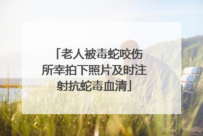 老人被毒蛇咬伤 所幸拍下照片及时注射抗蛇毒血清