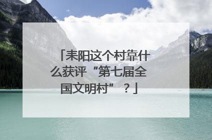 耒阳这个村靠什么获评“第七届全国文明村”？