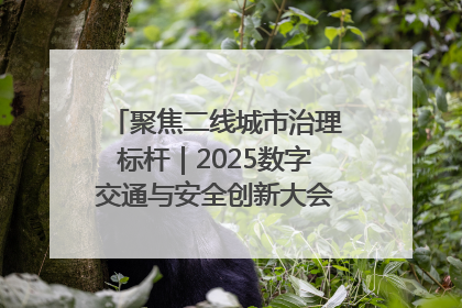 聚焦二线城市治理标杆｜2025数字交通与安全创新大会在保定隆重开幕