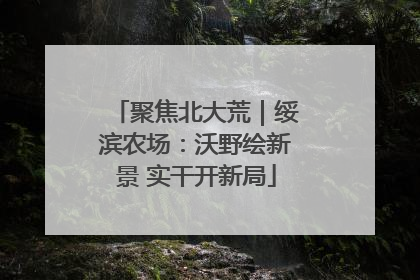 聚焦北大荒｜绥滨农场：沃野绘新景 实干开新局