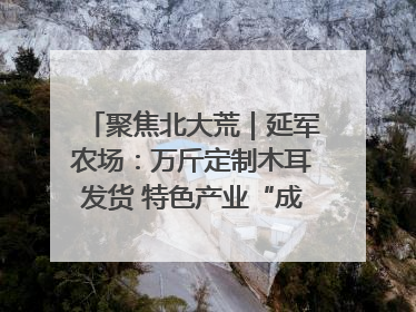 聚焦北大荒｜延军农场：万斤定制木耳发货 特色产业“成绩单”亮眼