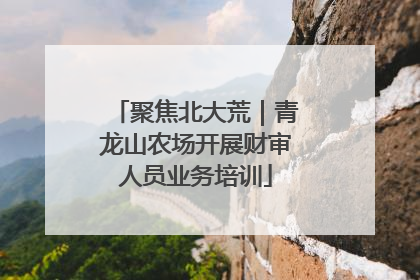 聚焦北大荒｜青龙山农场开展财审人员业务培训