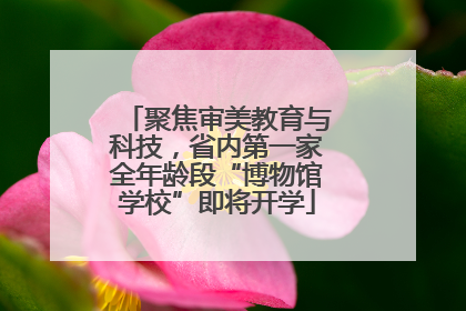 聚焦审美教育与科技，省内第一家全年龄段“博物馆学校”即将开学