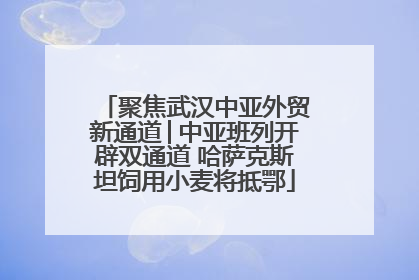 聚焦武汉中亚外贸新通道│中亚班列开辟双通道 哈萨克斯坦饲用小麦将抵鄂