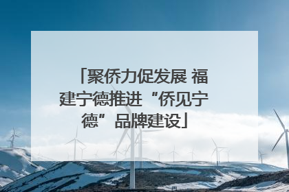 聚侨力促发展 福建宁德推进“侨见宁德”品牌建设