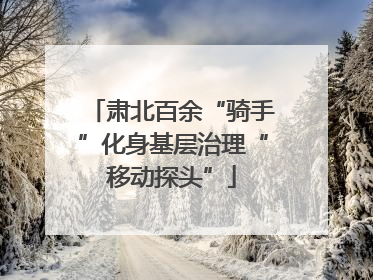 肃北百余“骑手”化身基层治理“移动探头”