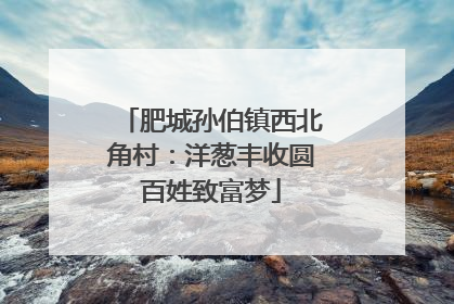 肥城孙伯镇西北角村：洋葱丰收圆百姓致富梦
