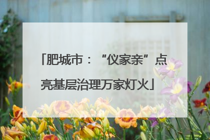 肥城市：“仪家亲”点亮基层治理万家灯火
