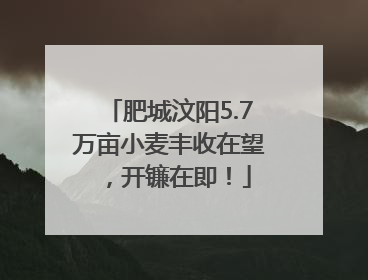 肥城汶阳5.7万亩小麦丰收在望，开镰在即！