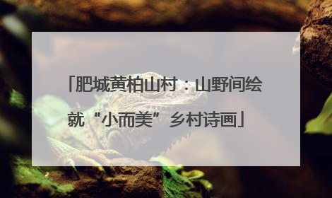 肥城黄柏山村：山野间绘就“小而美”乡村诗画