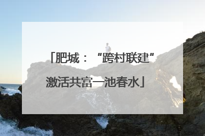 肥城：“跨村联建”激活共富一池春水