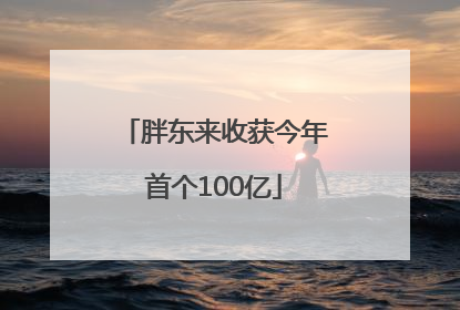胖东来收获今年首个100亿