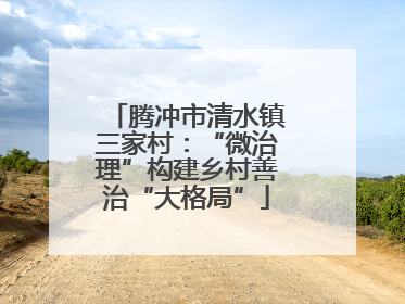 腾冲市清水镇三家村：“微治理”构建乡村善治“大格局”