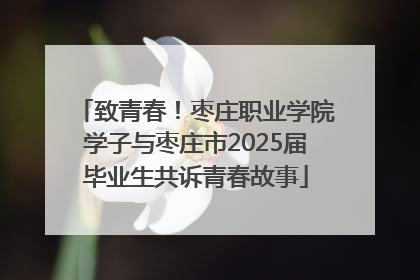 致青春！枣庄职业学院学子与枣庄市2025届毕业生共诉青春故事