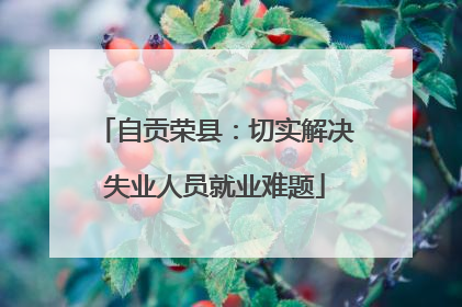 自贡荣县：切实解决失业人员就业难题