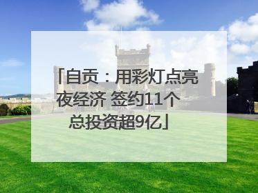 自贡：用彩灯点亮夜经济 签约11个总投资超9亿