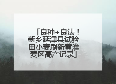 良种+良法！新乡延津县试验田小麦刷新黄淮麦区高产记录