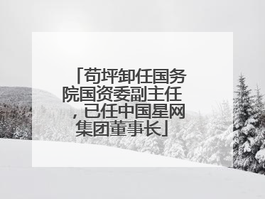 苟坪卸任国务院国资委副主任，已任中国星网集团董事长