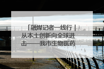 融媒记者一线行｜从本土创新向全球进击——我市生物医药产业破茧突围