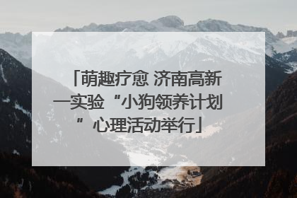萌趣疗愈 济南高新一实验“小狗领养计划”心理活动举行