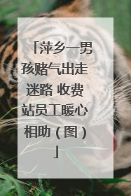 萍乡一男孩赌气出走迷路 收费站员工暖心相助（图）