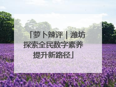 萝卜辣评｜潍坊探索全民数字素养提升新路径