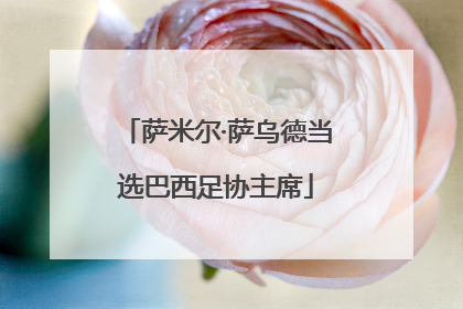 萨米尔·萨乌德当选巴西足协主席
