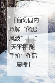 葡萄园内巧解“化肥风波”｜“天平杯·随手拍”作品展播