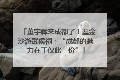 董宇辉来成都了！逛金沙游武侯祠：“成都的魅力在于仅此一份”