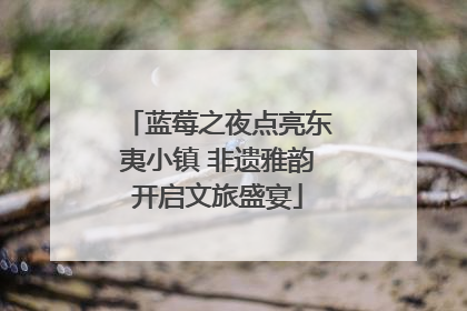 蓝莓之夜点亮东夷小镇 非遗雅韵开启文旅盛宴
