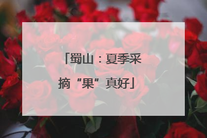 蜀山：夏季采摘“果”真好