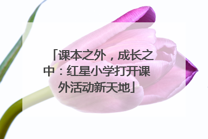 课本之外，成长之中：红星小学打开课外活动新天地