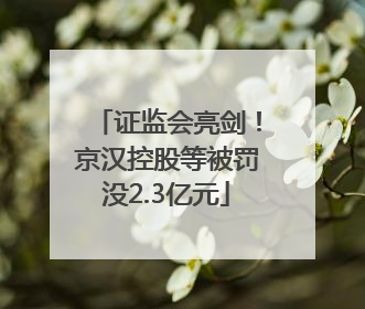 证监会亮剑！京汉控股等被罚没2.3亿元
