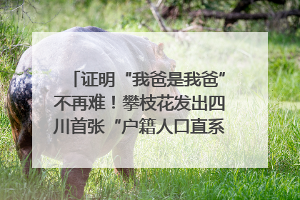 证明“我爸是我爸”不再难！攀枝花发出四川首张“户籍人口直系亲属关系谱”