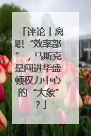评论丨离职“效率部”，马斯克是闯进华盛顿权力中心的“大象”？