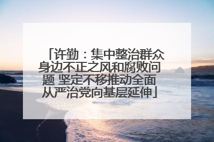 许勤：集中整治群众身边不正之风和腐败问题 坚定不移推动全面从严治党向基层延伸