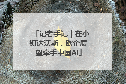 记者手记｜在小镇达沃斯，欧企展望牵手中国AI