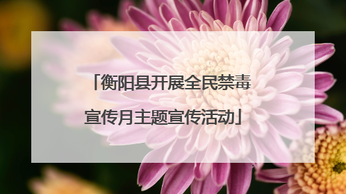 衡阳县开展全民禁毒宣传月主题宣传活动