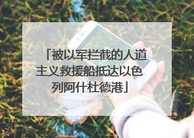 被以军拦截的人道主义救援船抵达以色列阿什杜德港